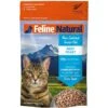 Feline Natural Beef Grain-Free Freeze-Dried Cat Food, 11-oz Bag -Furry Friends 767438 MAIN. AC SS1800 V1675888009