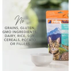 Feline Natural Beef Grain-Free Freeze-Dried Cat Food, 11-oz Bag -Furry Friends 767438 PT3. AC SS1800 V1675890999