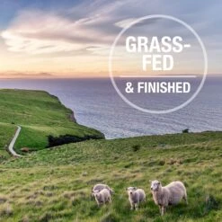 Feline Natural Beef Grain-Free Freeze-Dried Cat Food, 11-oz Bag -Furry Friends 767438 PT6. AC SS1800 V1675888009