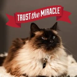 Nature's Miracle Multi-Cat Clumping Clay Cat Litter, 40-lb Bag -Furry Friends 767550 PT7. AC SS1800 V1675442941