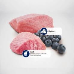 Farmina Natural & Delicious Lamb Grain-Free Formula Dry Cat Food -Furry Friends 77400 PT4. AC SS1800 V1486392759