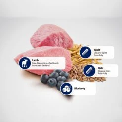 Farmina Natural & Delicious Lamb & Ancestral Low-Grain Formula Dry Cat Food -Furry Friends 77402 PT4. AC SS1800 V1475249325