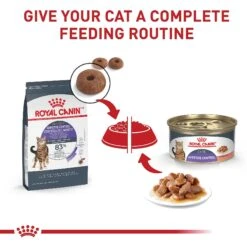 Royal Canin Feline Care Nutrition Appetite Control Care Dry Cat Food -Furry Friends 774182 PT5. AC SS1800 V1676063258