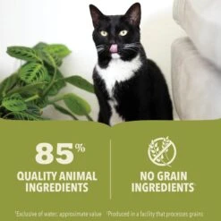 ACANA Chicken + Tuna Recipe In Bone Broth Grain-Free Wet Kitten Food, 3-oz Can, Case Of 24 & ACANA First Feast High-Protein Kitten Dry Cat Food, 4-lb Bag -Furry Friends 774342 PT4. AC SS1800 V1676904612