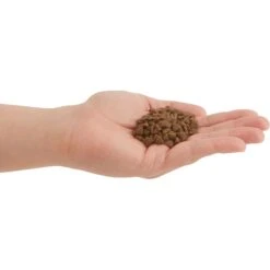 ACANA Chicken + Tuna Recipe In Bone Broth Grain-Free Wet Kitten Food, 3-oz Can, Case Of 24 & ACANA First Feast High-Protein Kitten Dry Cat Food, 4-lb Bag -Furry Friends 774342 PT8. AC SS1800 V1676904563