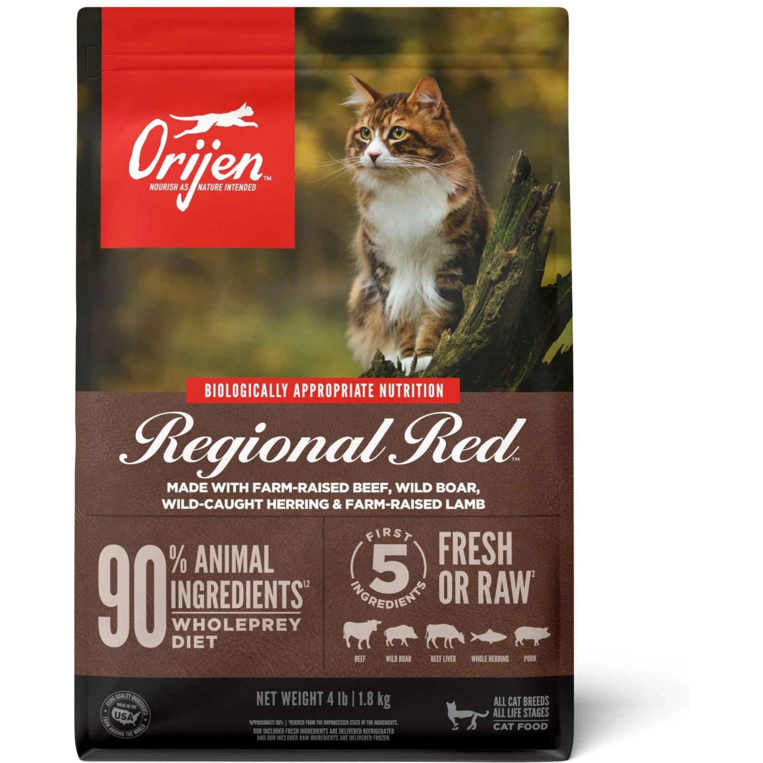ORIJEN Regional Red Entree In Bone Broth Wet Cat Food & ORIJEN Regional Red Grain-Free Dry Cat Food 4 ORIJEN Regional Red Entree In Bone Broth Wet Cat Food & ORIJEN Regional Red Grain-Free Dry Cat Food - Image 2