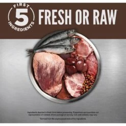 ORIJEN Regional Red Entree In Bone Broth Wet Cat Food & ORIJEN Regional Red Grain-Free Dry Cat Food 15 ORIJEN Regional Red Entree In Bone Broth Wet Cat Food & ORIJEN Regional Red Grain-Free Dry Cat Food -Furry Friends 774358 PT4. AC SS1800 V1689685757