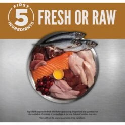 ORIJEN Duck + Chicken Entree In Bone Broth Wet Cat Food & ORIJEN Original Grain-Free Dry Cat Food -Furry Friends 774454 PT4. AC SS1800 V1689685526