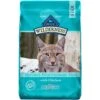 Blue Buffalo Wilderness Chicken Recipe Indoor Hairball Control Grain-Free Dry Cat Food