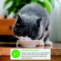 Inaba Dashi Delight Chicken Flavored Variety Pack Bits In Broth Cat Food Topping -Furry Friends 778590 PT8. AC SS1800 V1678998325