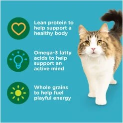 Rachael Ray Nutrish Natural Salmon & Brown Rice Recipe Dry Cat Food -Furry Friends 77990 PT4. AC SS1800 V1691768521