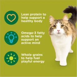 Rachael Ray Nutrish Natural Chicken & Brown Rice Recipe Dry Cat Food -Furry Friends 77993 PT4. AC SS1800 V1691768584