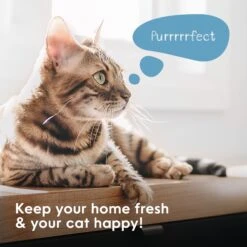 Litter Genie Plus Cat Litter Disposal System 14 Litter Genie Plus Cat Litter Disposal System -Furry Friends 780782 PT3. AC SS1800 V1684609649