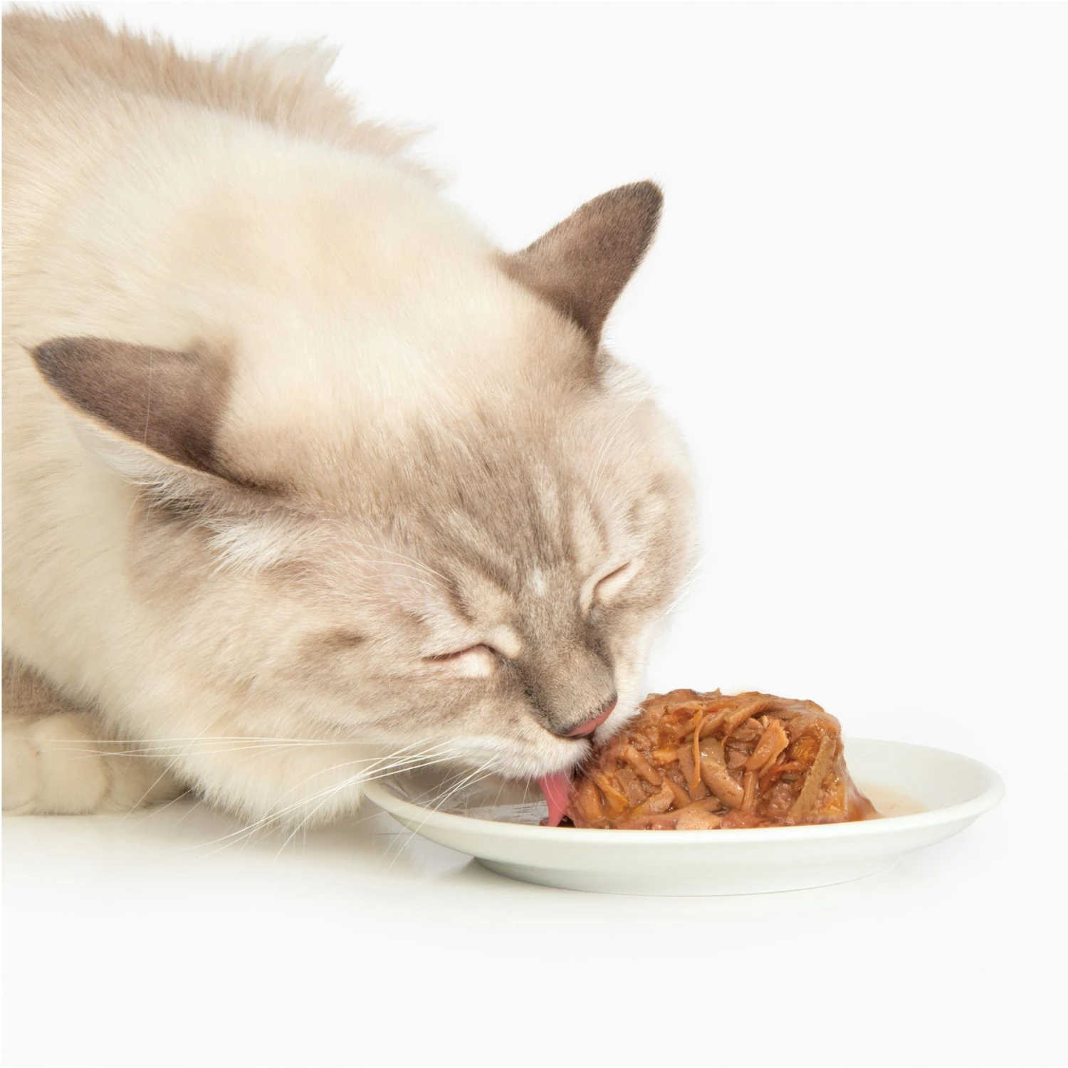 Catit Dinner Chicken With Liver & Sweet Potato Cat Wet Food, 2.8-oz Can 5 Catit Dinner Chicken With Liver & Sweet Potato Cat Wet Food, 2.8-oz Can - Image 3