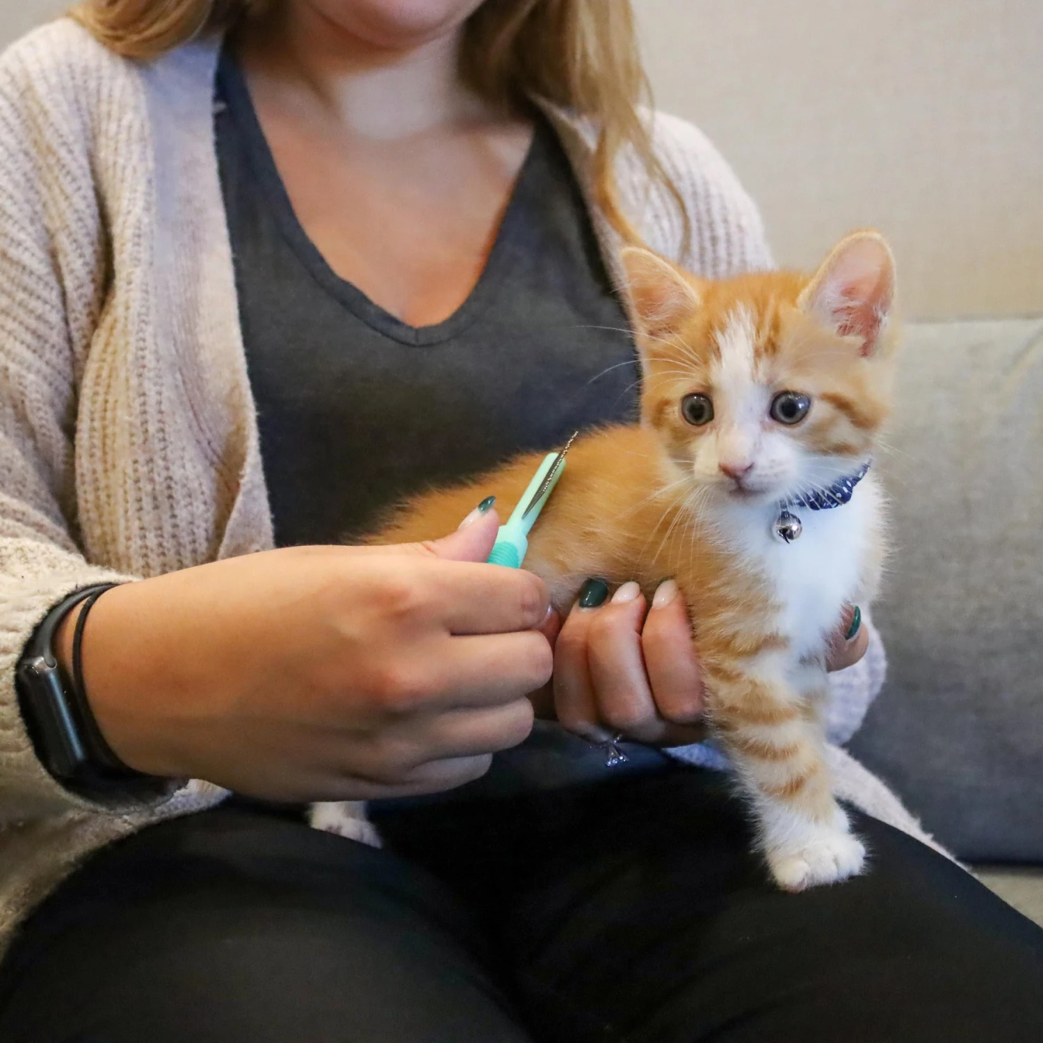 Li'l Pals Double-Sided Kitten Comb 4 Li'l Pals Double-Sided Kitten Comb - Image 2