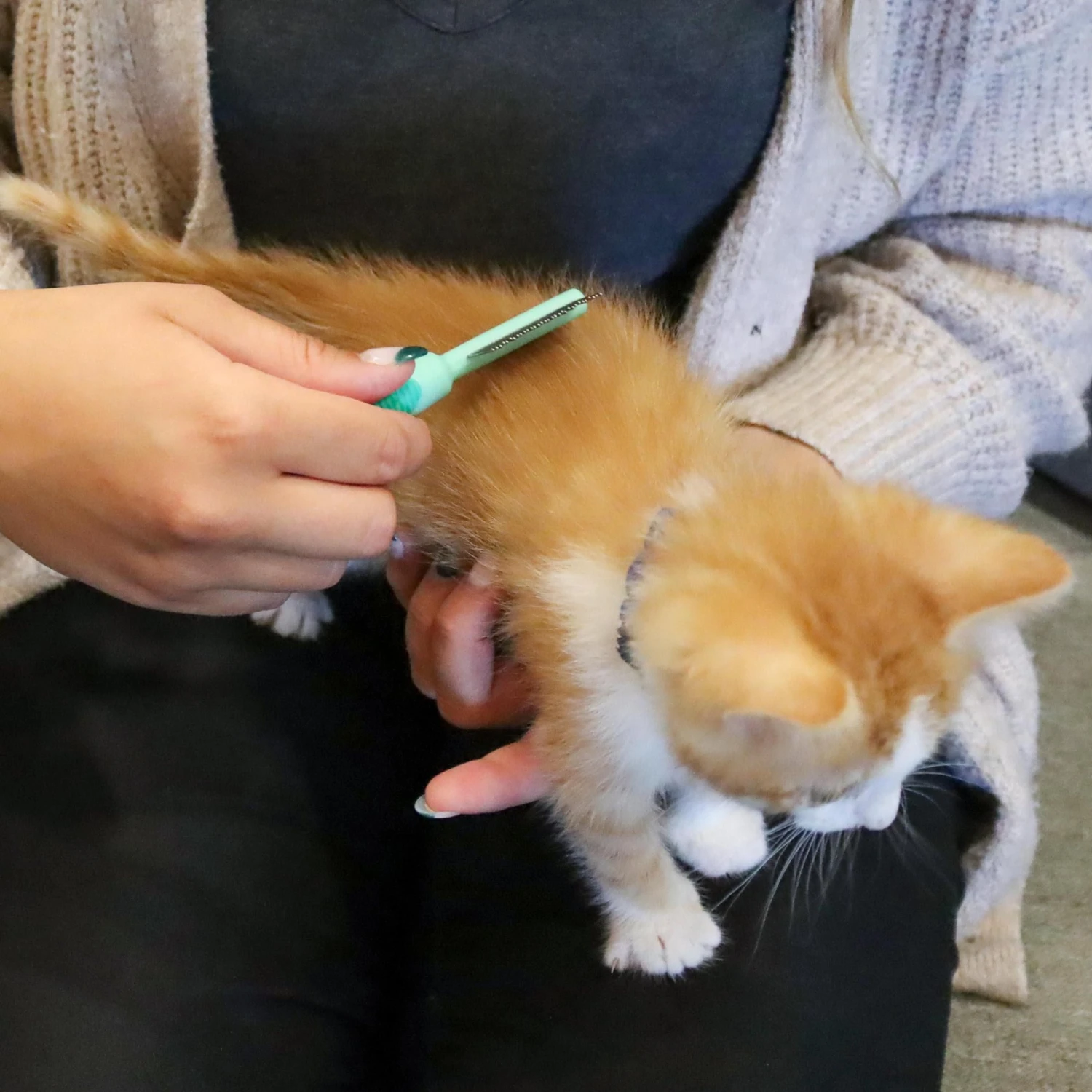 Li'l Pals Double-Sided Kitten Comb 5 Li'l Pals Double-Sided Kitten Comb - Image 3