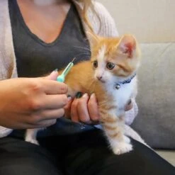 Li'l Pals Double-Sided Kitten Comb 9 Li'l Pals Double-Sided Kitten Comb -Furry Friends 782574 PT3. AC SS1800 V1680794422