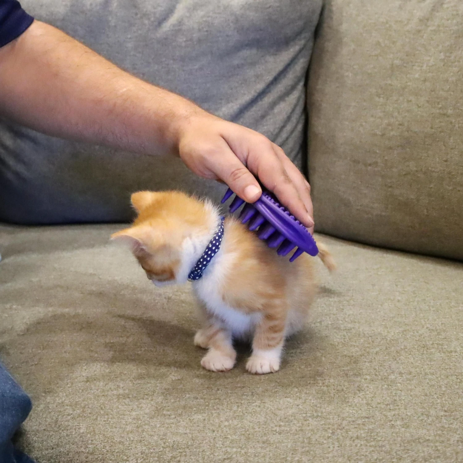 Li'l Pals Kitten Soft Tip Massager 6 Li'l Pals Kitten Soft Tip Massager - Image 4