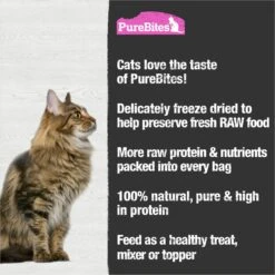 PureBites Shrimp Freeze-Dried Cat Treat & PureBites Freeze-Dried Salmon Cat Treats 17 PureBites Shrimp Freeze-Dried Cat Treat & PureBites Freeze-Dried Salmon Cat Treats -Furry Friends 784014 PT7. AC SS1800 V1677513186
