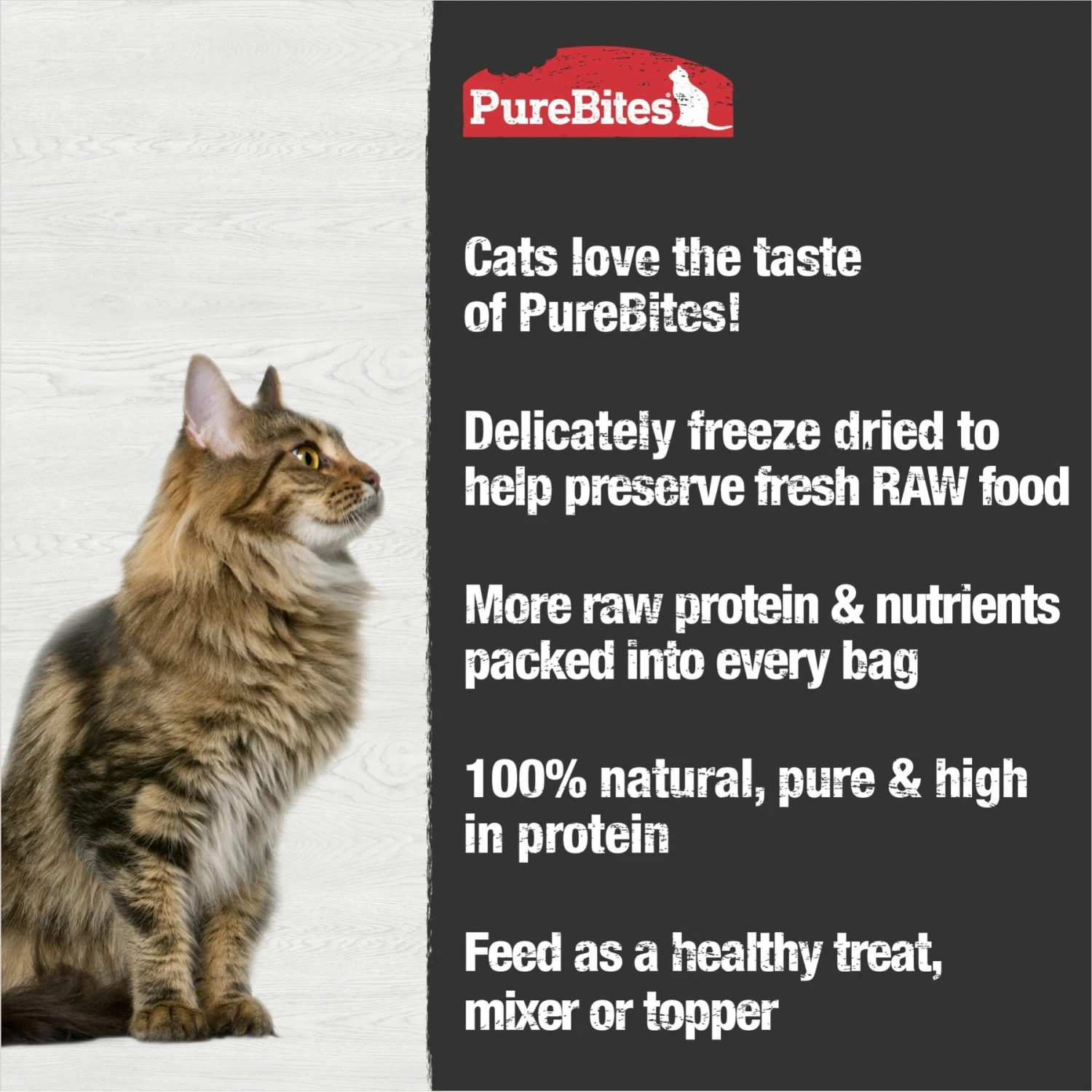PureBites Chicken Breast Freeze-Dried Raw Cat Treats & PureBites Freeze-Dried Salmon Cat Treats 7 PureBites Chicken Breast Freeze-Dried Raw Cat Treats & PureBites Freeze-Dried Salmon Cat Treats - Image 5
