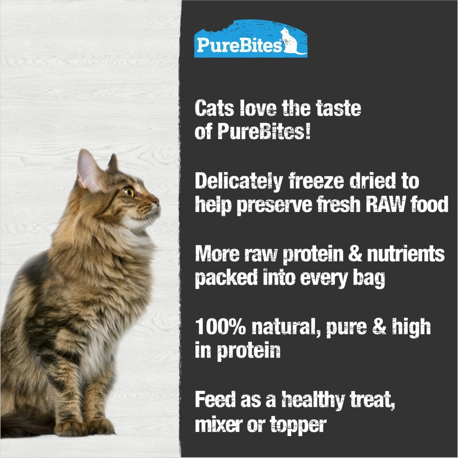 PureBites Shrimp Freeze-Dried Cat Treat & PureBites Tuna Freeze-Dried Raw Cat Treats 10 PureBites Shrimp Freeze-Dried Cat Treat & PureBites Tuna Freeze-Dried Raw Cat Treats - Image 8