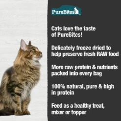 PureBites Shrimp Freeze-Dried Cat Treat & PureBites Minnow Freeze-Dried Cat Treat -Furry Friends 784054 PT7. AC SS1800 V1677513247