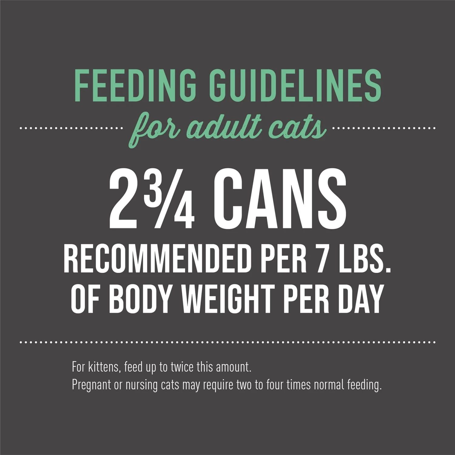 Tiki Cat Luau Seabass In Seabass Consomme Grain-Free Canned Cat Food 8 Tiki Cat Luau Seabass In Seabass Consomme Grain-Free Canned Cat Food - Image 6