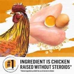 Purina Beyond Simply White Meat Chicken & Whole Oat Meal Recipe Dry Cat Food -Furry Friends 79009 PT2. AC SS1800 V1690491007