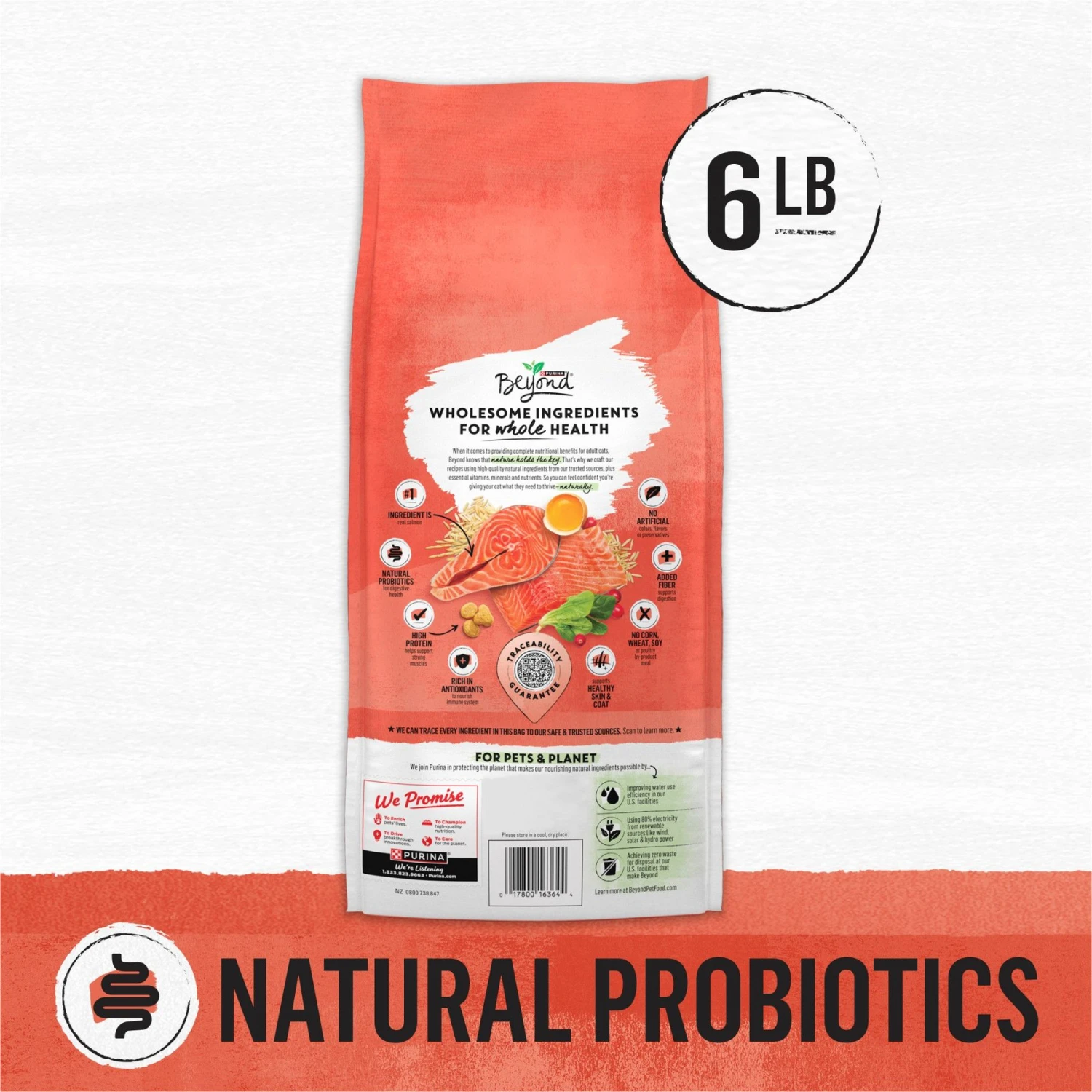 Purina Beyond Simply Salmon & Whole Brown Rice Recipe Dry Cat Food 4 Purina Beyond Simply Salmon & Whole Brown Rice Recipe Dry Cat Food - Image 2