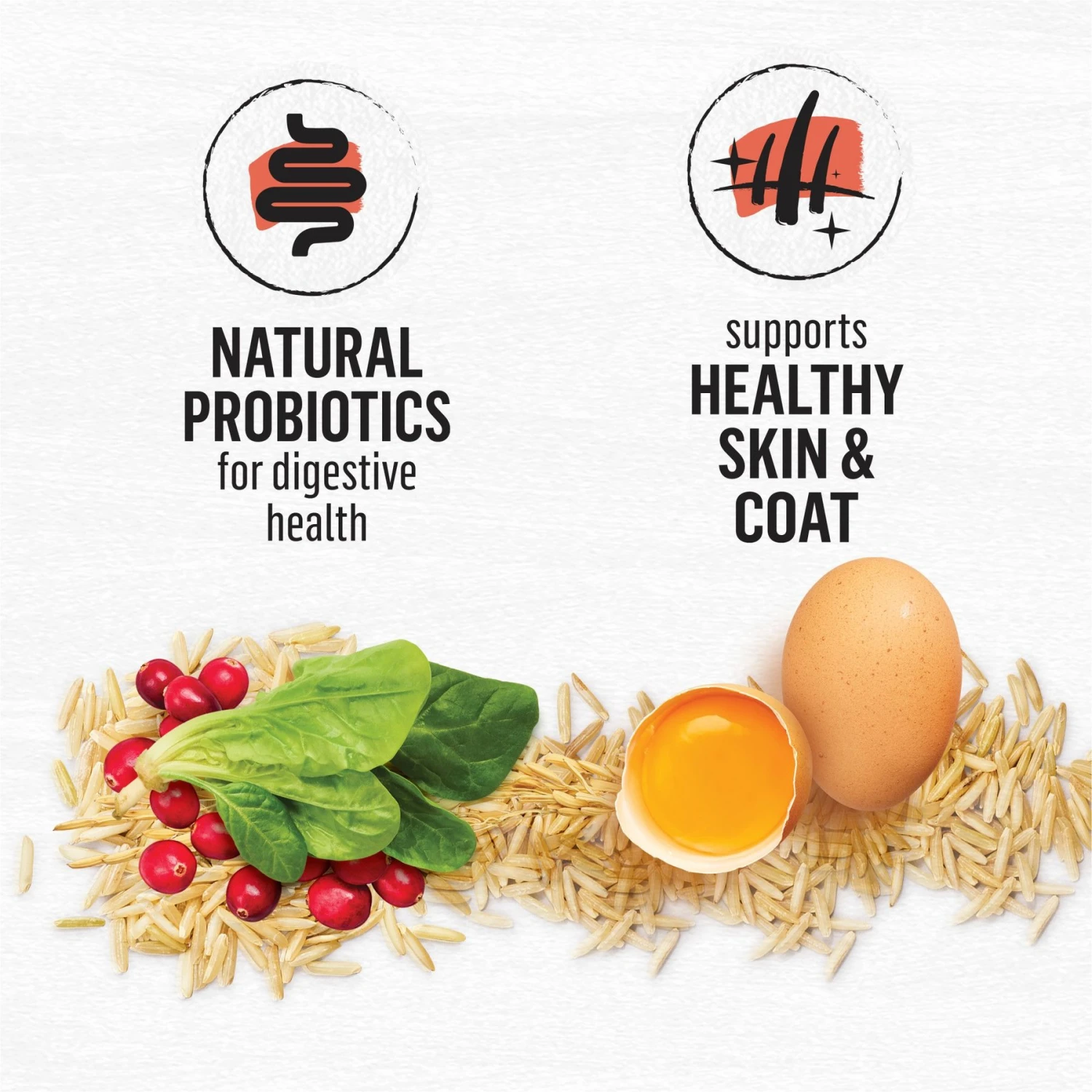 Purina Beyond Simply Salmon & Whole Brown Rice Recipe Dry Cat Food 7 Purina Beyond Simply Salmon & Whole Brown Rice Recipe Dry Cat Food - Image 5