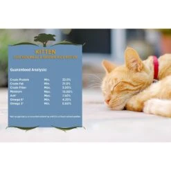 Blackwood Chicken Meal & Rice Recipe Kitten Formula Dry Cat Food 12 Blackwood Chicken Meal & Rice Recipe Kitten Formula Dry Cat Food -Furry Friends 79087 PT3. AC SS1800 V1550528538