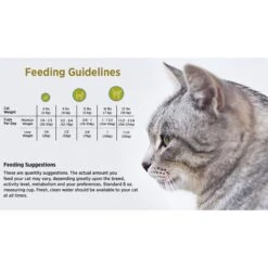 Blackwood Chicken Meal & Rice Recipe Lean Dry Cat Food -Furry Friends 79090 PT4. AC SS1800 V1550528521