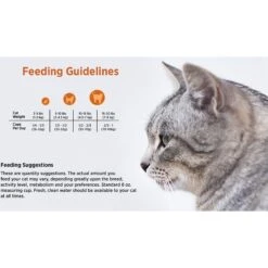 Blackwood Chicken Meal & Rice Recipe Indoor Formula Dry Cat Food -Furry Friends 79093 PT4. AC SS1800 V1550528541