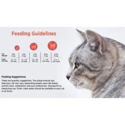 Blackwood Chicken Meal & Field Pea Recipe Grain-Free Dry Cat Food -Furry Friends 79100 PT4. AC SS1800 V1550528544