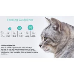 Blackwood Duck Meal, Salmon Meal & Field Pea Grain-Free Dry Cat Food -Furry Friends 79103 PT4. AC SS1800 V1550528549