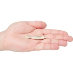 Vital Essentials Minnows Freeze-Dried Raw Cat Treats -Furry Friends 793534 PT2. AC SS1800 V1680122877