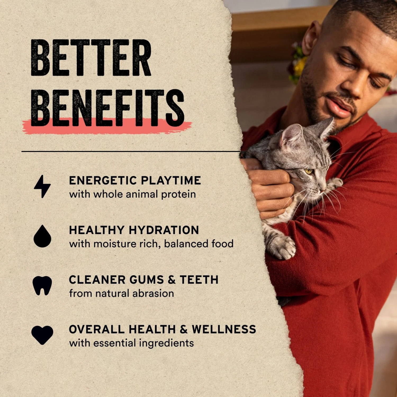 Vital Essentials Salmon Bites Freeze-Dried Raw Cat Treats 7 Vital Essentials Salmon Bites Freeze-Dried Raw Cat Treats - Image 5