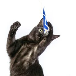 Honest Pet Products Eco Kitty Catcher Fishpole Cat Toy -Furry Friends 797214 PT5. AC SS1800 V1690574363