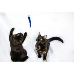 Honest Pet Products Eco Kitty Catcher Fishpole Cat Toy -Furry Friends 797214 PT6. AC SS1800 V1690572752