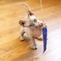 Honest Pet Products Eco Kitty Catcher Fishpole Cat Toy -Furry Friends 797214 PT8. AC SS1800 V1690814211