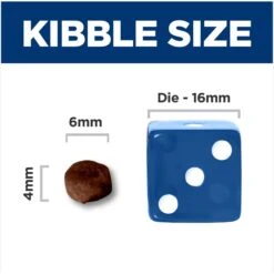 Hill's Science Diet Kitten Dry Ocean Fish & Brown Rice Recipe Dry Cat Food -Furry Friends 804070 PT4. AC SS1800 V1682950492