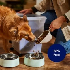 Frisco Dog & Cat Food Scoop -Furry Friends 807430 PT2. AC SS1800 V1696254614