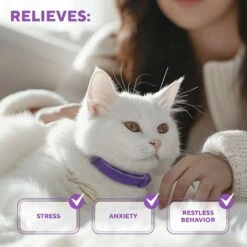 Relaxivet Calming Collar & Anti Anxiety Products Cat Collar -Furry Friends 807542 PT2. AC SS1800 V1680192307