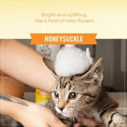 Skout's Honor Probiotic Honeysuckle Cat Shampoo & Conditioner, 16-oz Bottle -Furry Friends 808150 PT5. AC SS1800 V1680192539