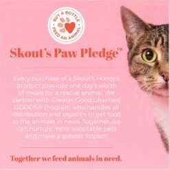 Skout's Honor Probiotic Fragrance Free Cat Shampoo & Conditioner, 16-oz Bottle -Furry Friends 808166 PT7. AC SS1800 V1680290001