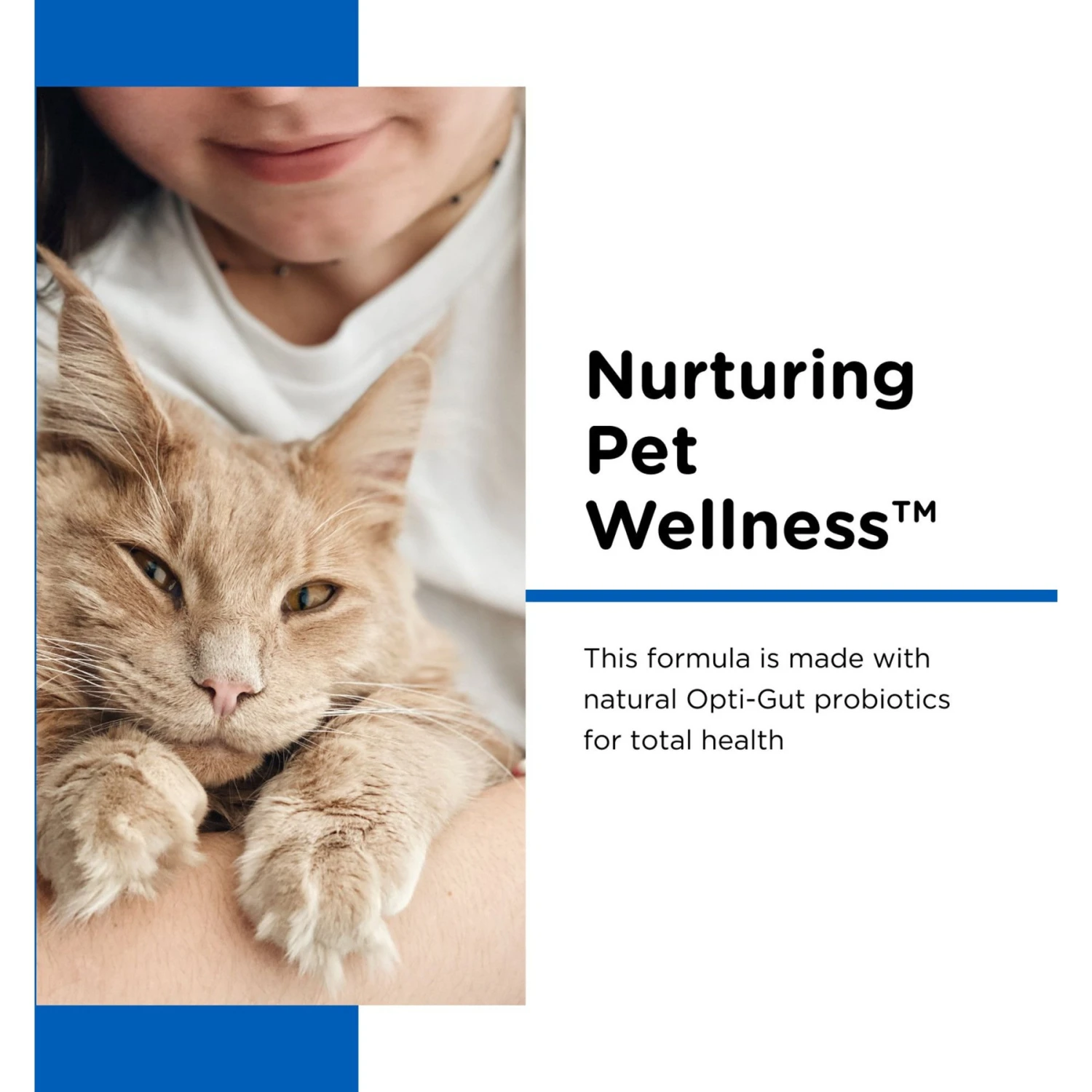 Nutri-Vet Powder Milk Supplement For Cats 5 Nutri-Vet Powder Milk Supplement For Cats - Image 3