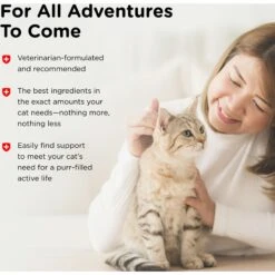 Nutri-Vet Antimicrobial Wound Spray For Cats -Furry Friends 80899 PT6. AC SS1800 V1657661032