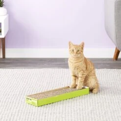 Van Ness Cat Scratcher Pad Toy With Catnip -Furry Friends 81558 PT6. AC SS1800 V1527271634