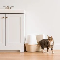 IRIS USA Hooded Corner Cat Litter Box With Front Door Flap & Scoop -Furry Friends 816574 PT8. AC SS1800 V1685131607