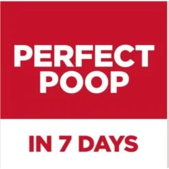 Hill's Science Diet Perfect Digestion Chicken, Vegetable & Rice Stew Adult Canned Cat Food, 2.9-oz, Case Of 24 -Furry Friends 819526 PT2. AC SS1800 V1683121580